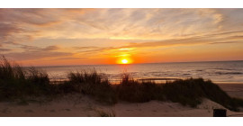 Coast Marathon Nationaal Park Hollandse Duinen