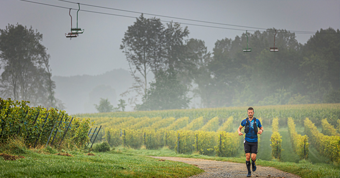 Nieuw: loop de Heuvelland Wijnmarathon en degusteer Belgische wijnen