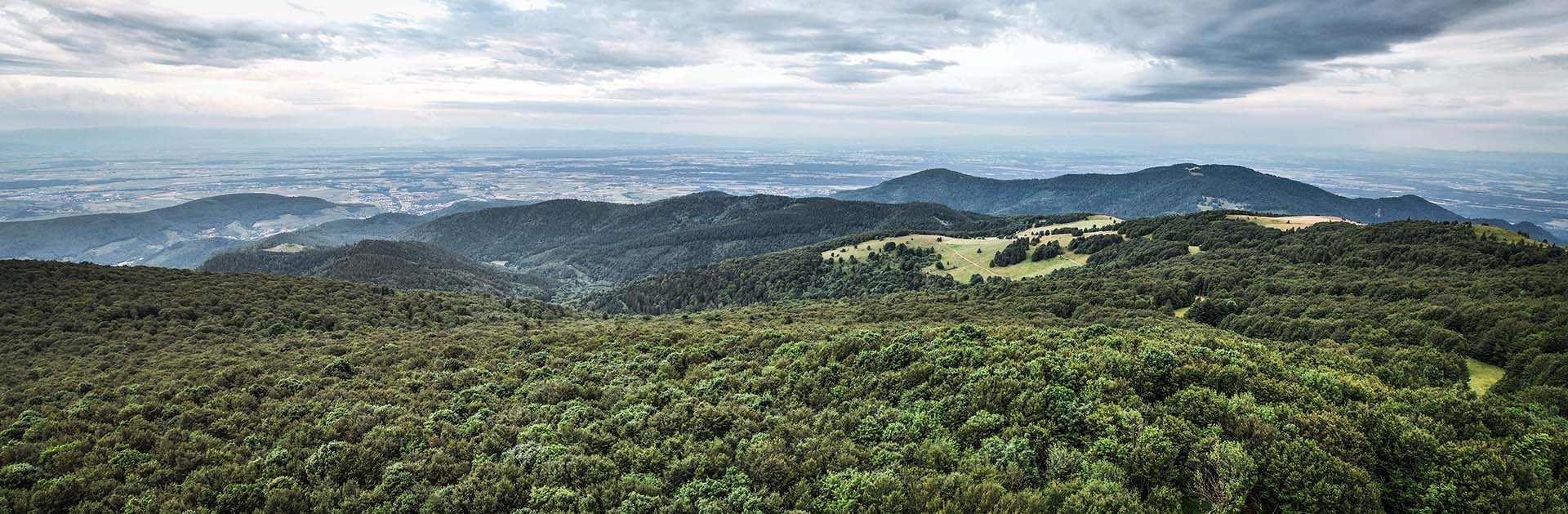 Marathon du Grand Ballon