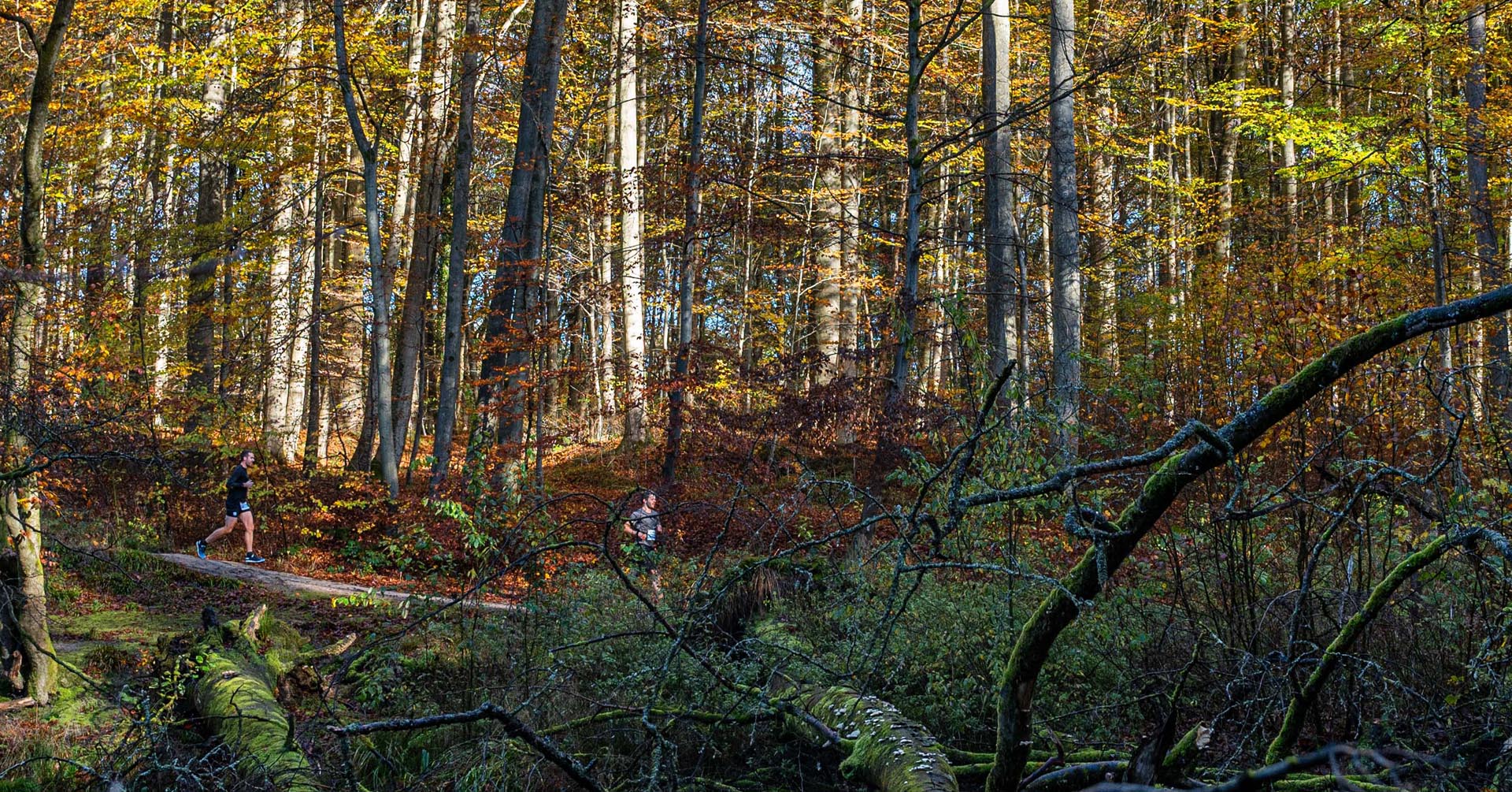 Dolce La Hulpe Trail