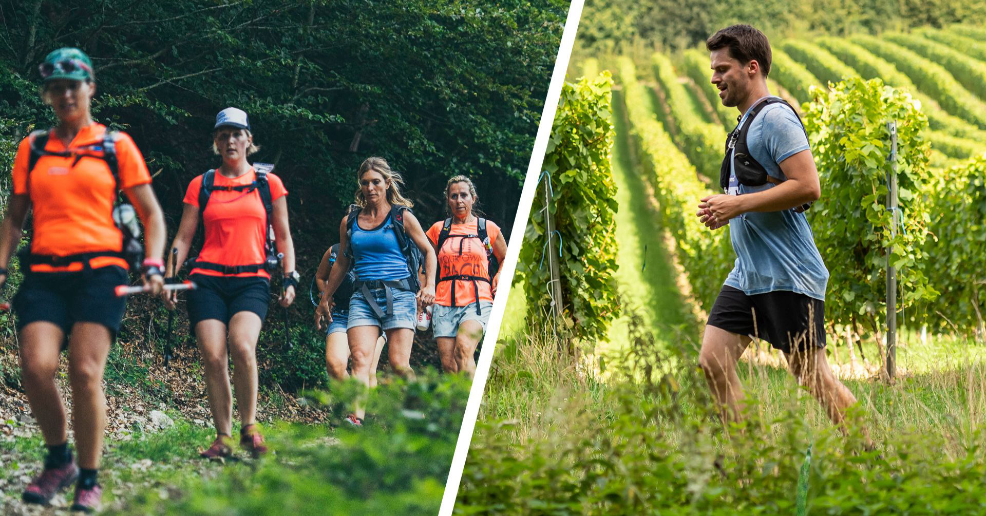 Heuvelland Wijnmarathon